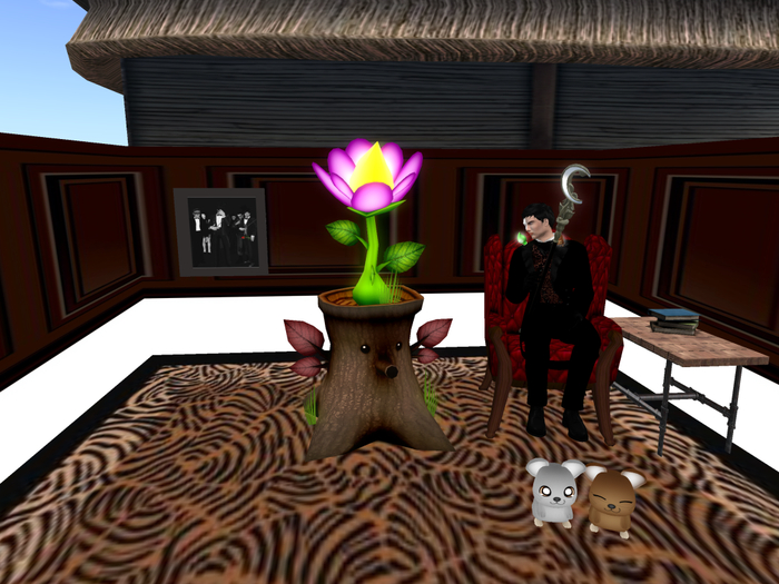 Second Life Marketplace Alexa Dark Skybox And Booth Resizable